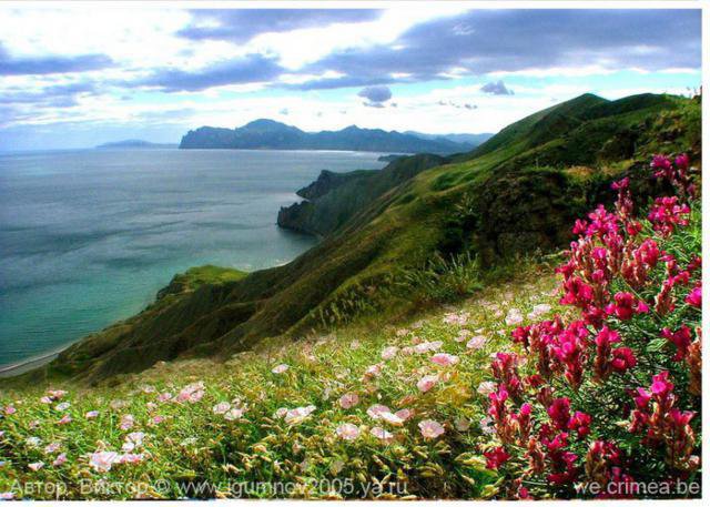 крым60 - оригинал