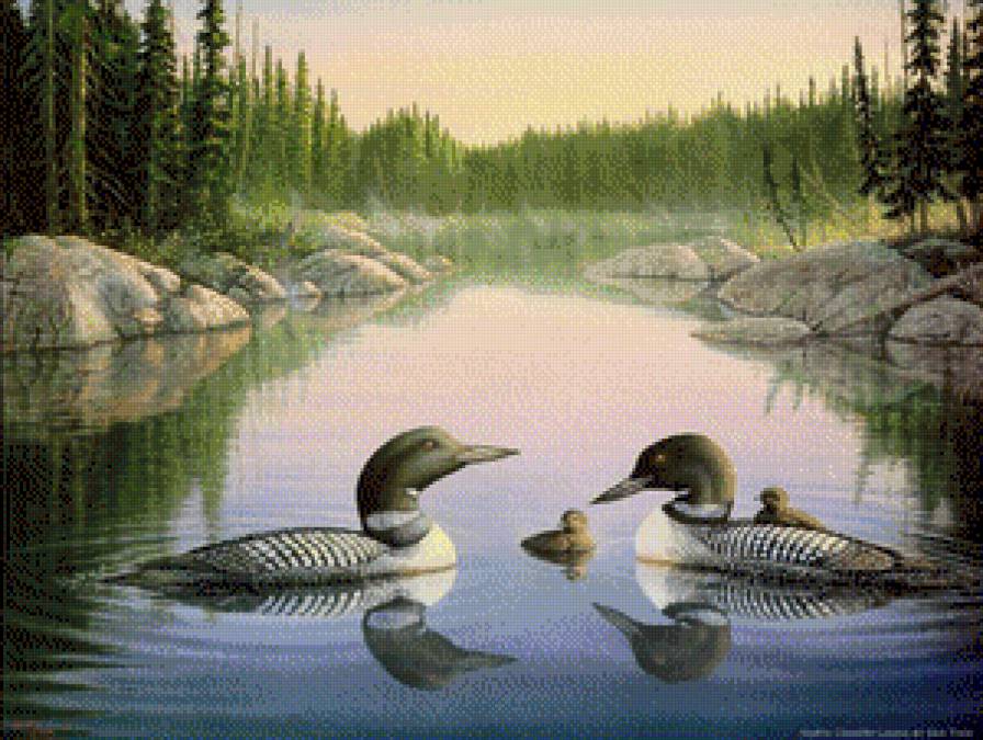 Утки на пруду - предпросмотр