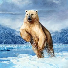 Схема вышивки «Белый медведь»