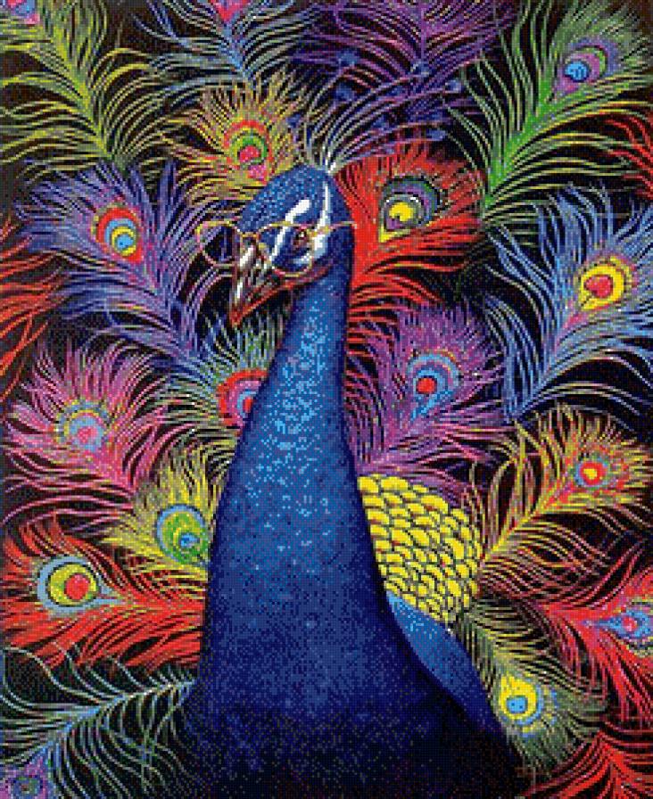 Разноцветный павлин - птицы, павлин - предпросмотр
