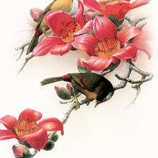 Схема вышивки «птицы»