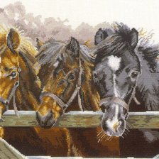 Схема вышивки «№646139»