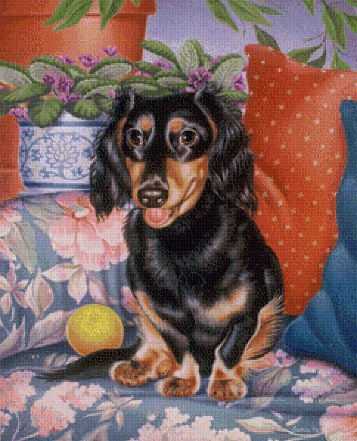 домашние любимцы - предпросмотр