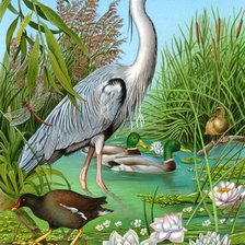 Схема вышивки «на озере»