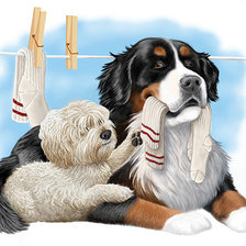 Схема вышивки «домашние любимцы»