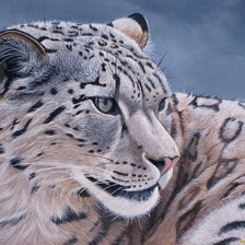 Схема вышивки «Белый барс»