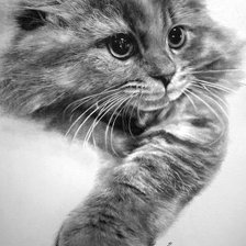 Схема вышивки «Котик»