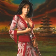 Схема вышивки «девушка-самурай»