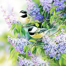 Схема вышивки «синички»