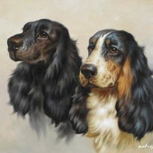 Схема вышивки «спаниели»