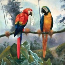 Схема вышивки «попугаи»