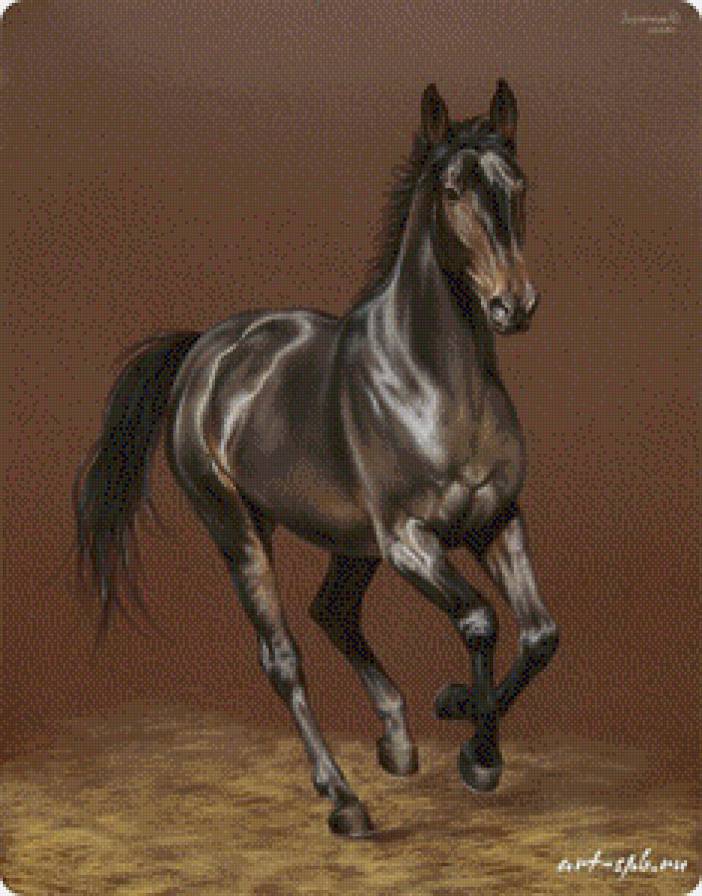 шоколадный красавец - животные, лошади - предпросмотр