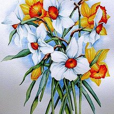 Схема вышивки «Нарциссы»