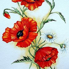 Схема вышивки «Маки»