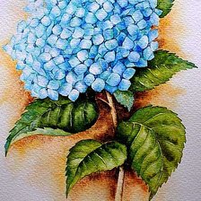 Схема вышивки «Гортензия»