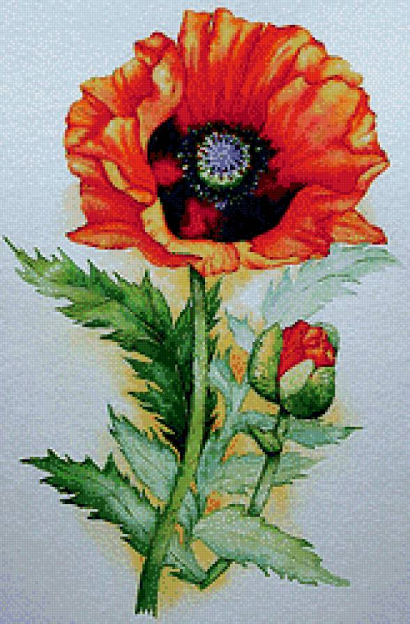 Мак - предпросмотр