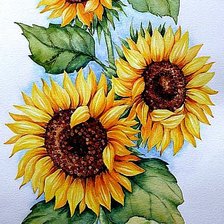 Схема вышивки «Подсолнух»