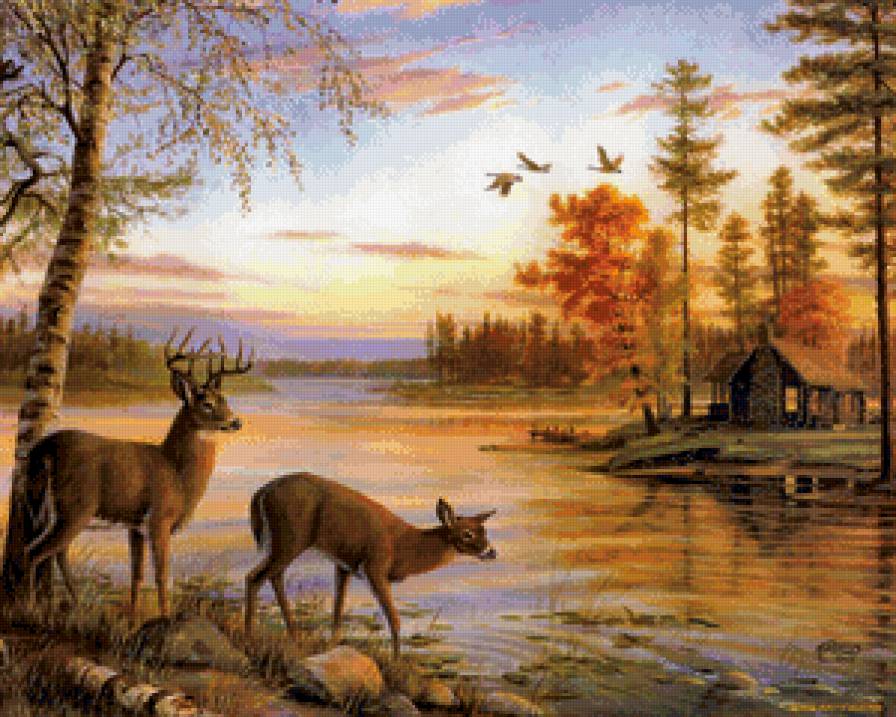 Олени - животные - предпросмотр