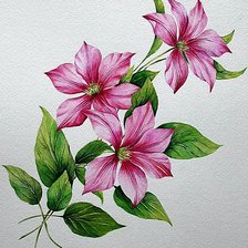 Схема вышивки «Веточка клематиса»