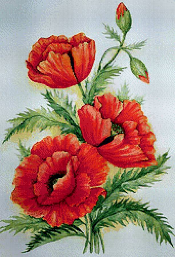 Мак - предпросмотр