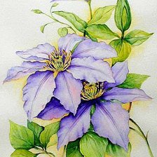 Схема вышивки «Веточка клематиса»