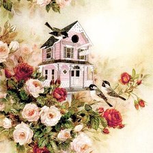 птичья семейка