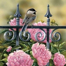 Схема вышивки «воробей и пионы»