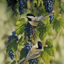 Схема вышивки «воробьи и виноград»