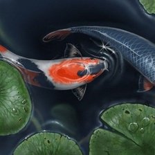 Схема вышивки «японские карпы»