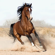 Схема вышивки «Лошадь»