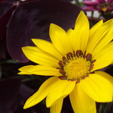 Схема вышивки «Цветок»