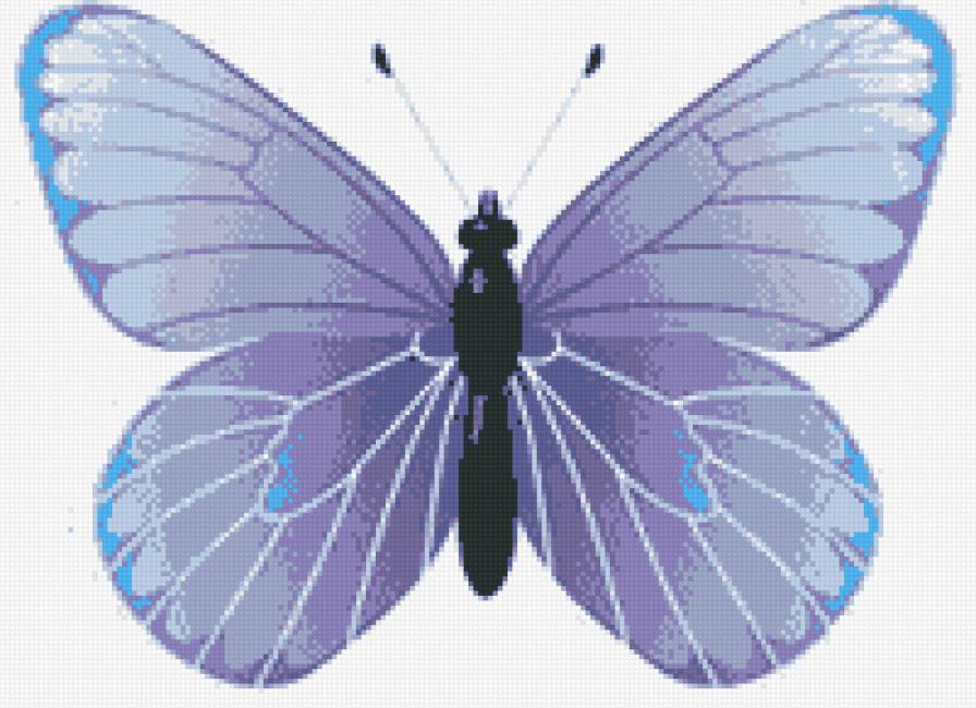 бабочка1 - предпросмотр