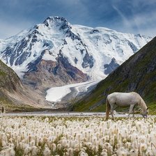 Схема вышивки «гора и лошадь»