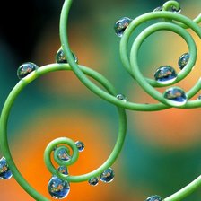 Схема вышивки «капли на спирали»