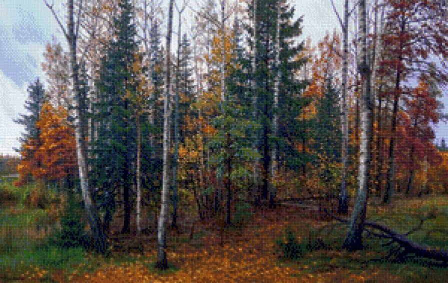 Aleksandr Zoriukow - jesien, brzozy, las, pejzaz - предпросмотр