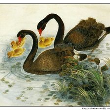 Схема вышивки «лебеди»