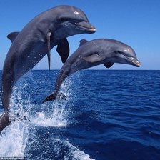 Схема вышивки «№647351»