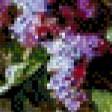 Предпросмотр схемы вышивки «сирень» (№647435)