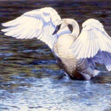 Схема вышивки «лебединый танец»