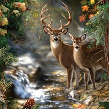 Схема вышивки «№647469»