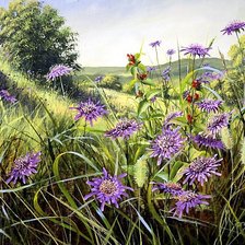 Схема вышивки «полевые цветы»