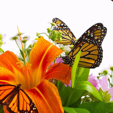 Схема вышивки «Лилия»