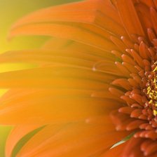 Схема вышивки «Цветок»