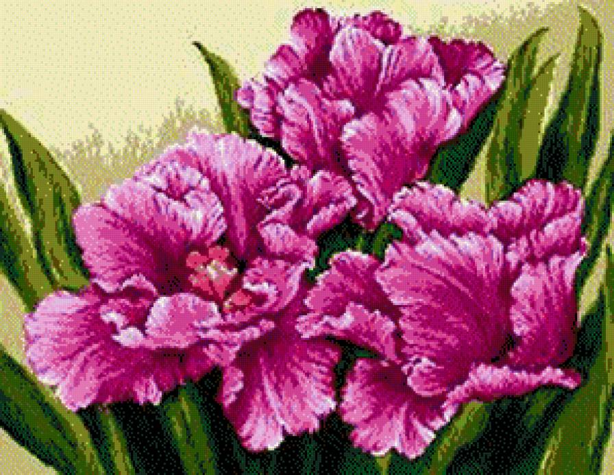 Ирисы - букет, цветы - предпросмотр