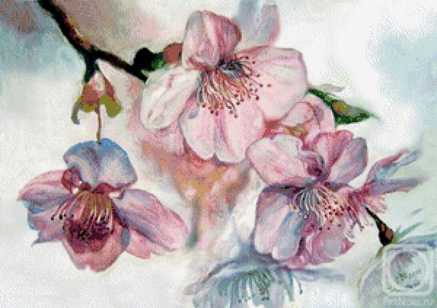 весенний цвет - магнолия, восток, весна, ветка, нежность - предпросмотр