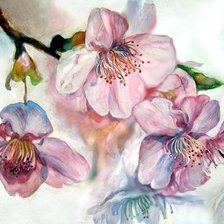 Схема вышивки «весенний цвет»