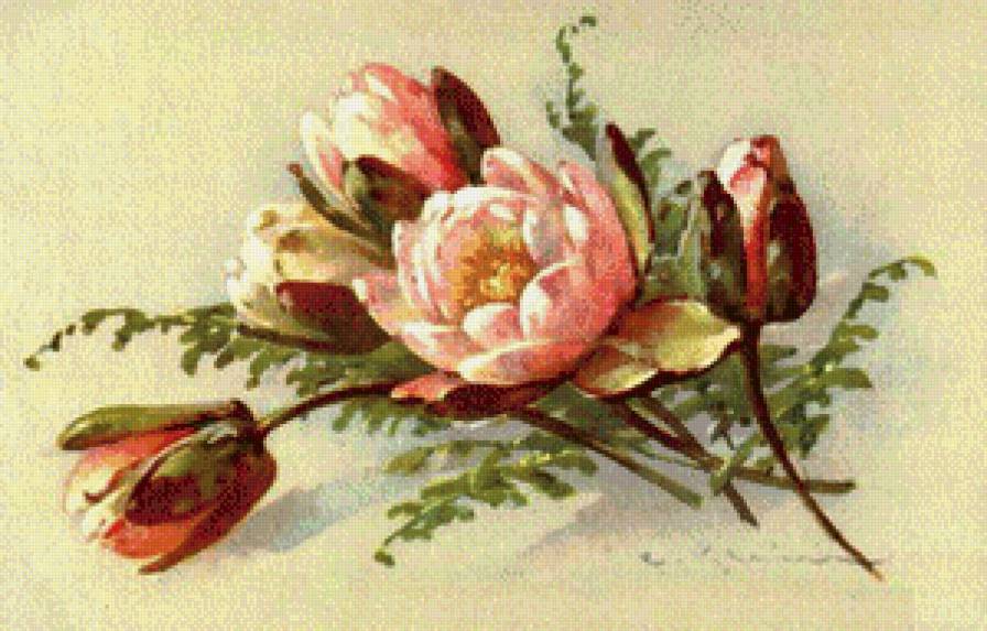 букет - праздник, букет, розы, открытка - предпросмотр