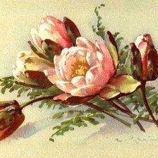 Схема вышивки «букет»