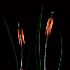 Схема вышивки «огненый камыш»