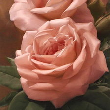 Схема вышивки «розы»